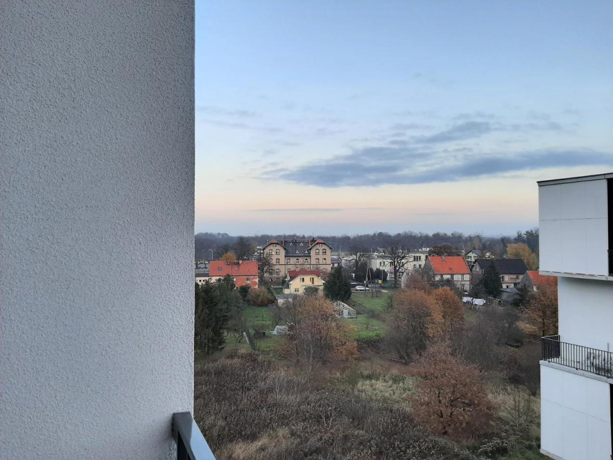 Roza- Lotnisko Apartment - Wroclaw — Zdjęcia 1